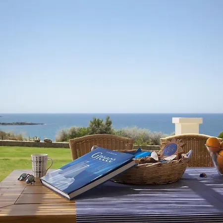 Ploes スカフィディア