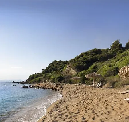 Ploes * スカフィディア